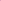 Inter Miami - Maillot Concept 2024/25 - Rose, Bleu